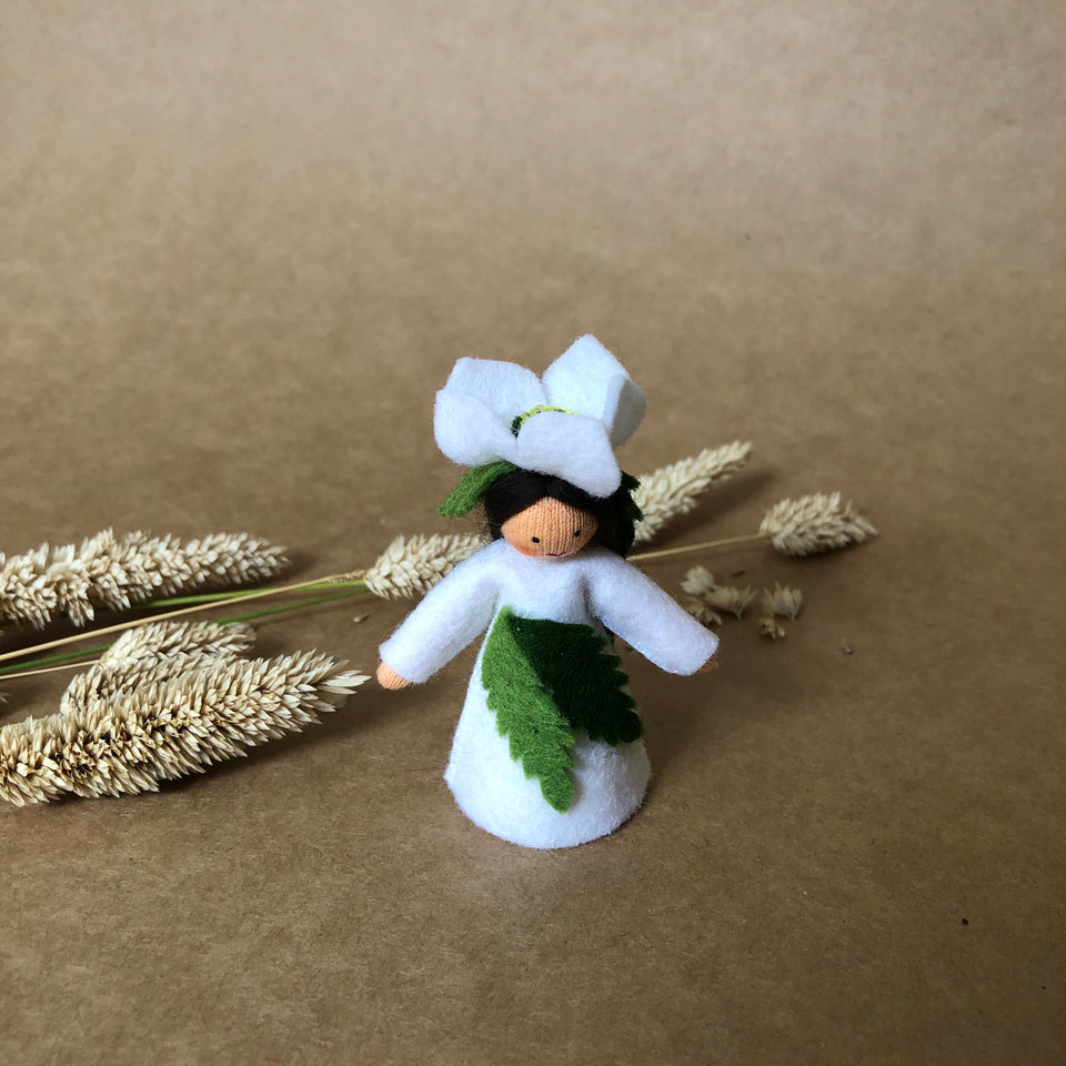CHRISTMAS ROSE FAIRY ~ AMBROSIUS CHRISTMAS