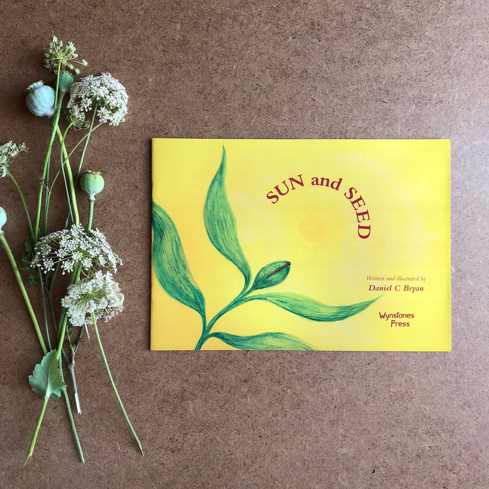 SUN & SEED