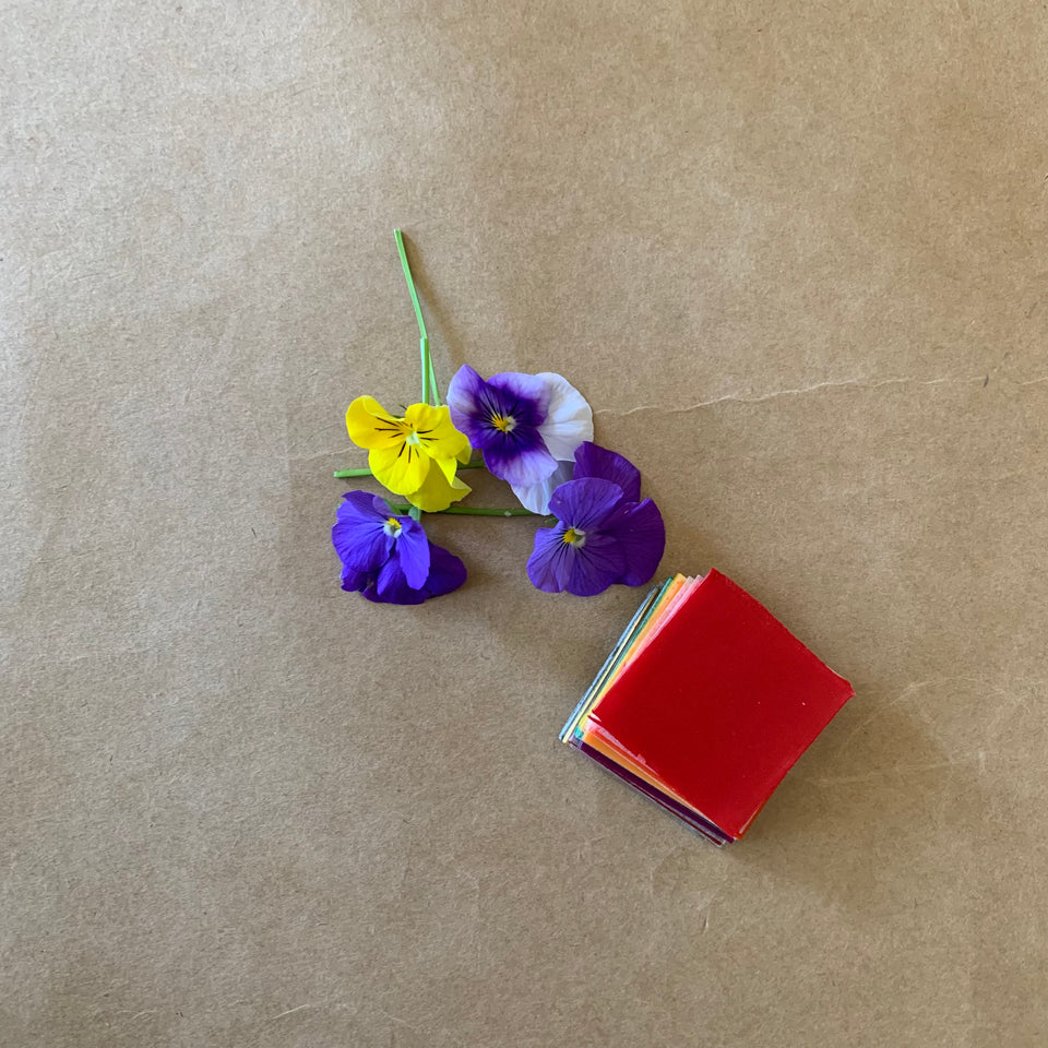 BEESWAX CANDLE ROLLING KIT with decorative wax