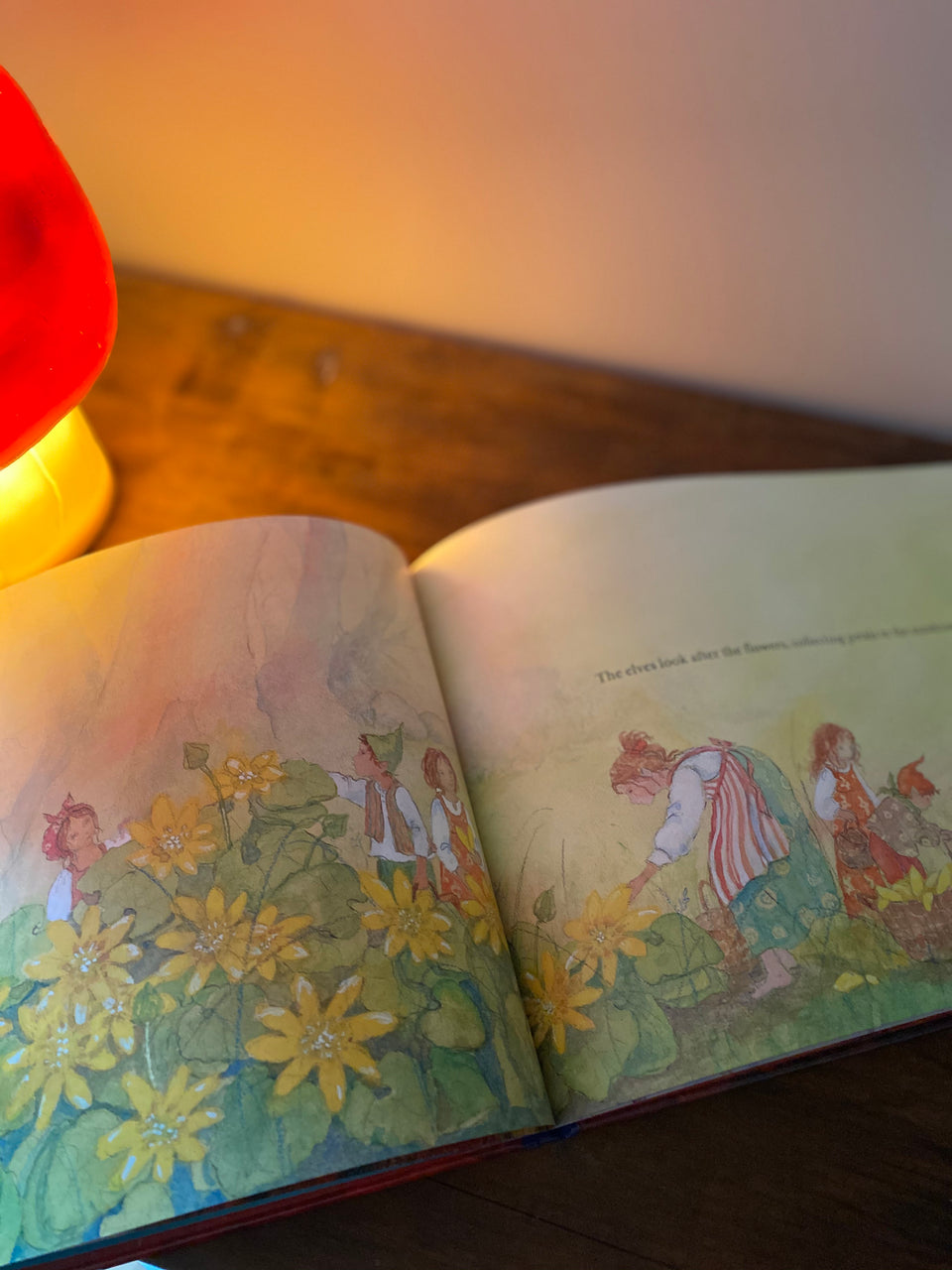 IN THE LAND OF THE ELVES ~ DANIELA DRESCHER