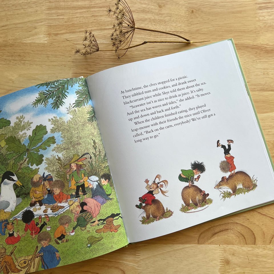THE WILDWOOD ELVES ~ ILLUSTRATED BY GERDA MULLER