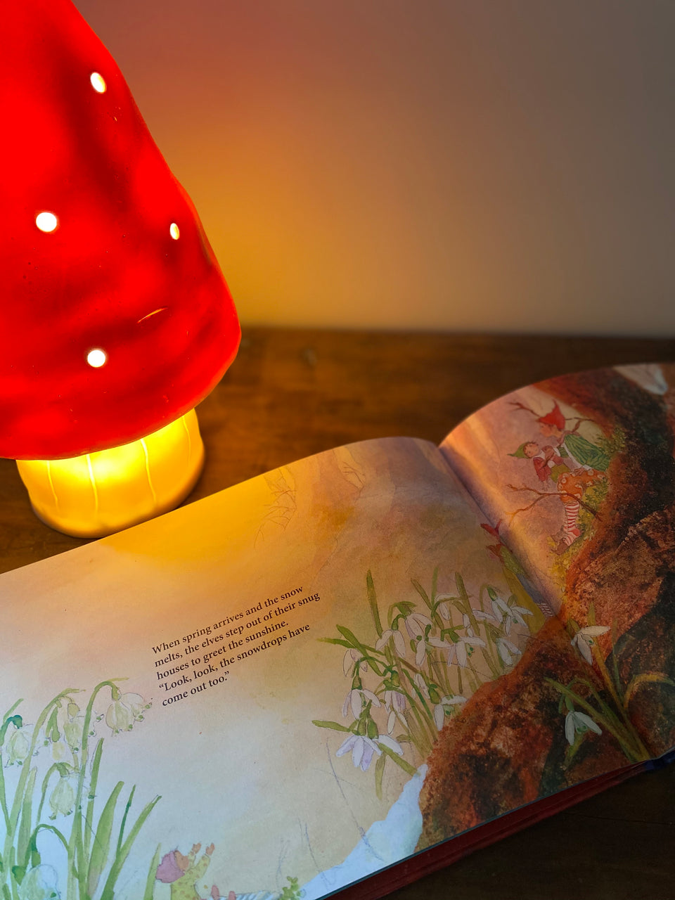 IN THE LAND OF THE ELVES ~ DANIELA DRESCHER