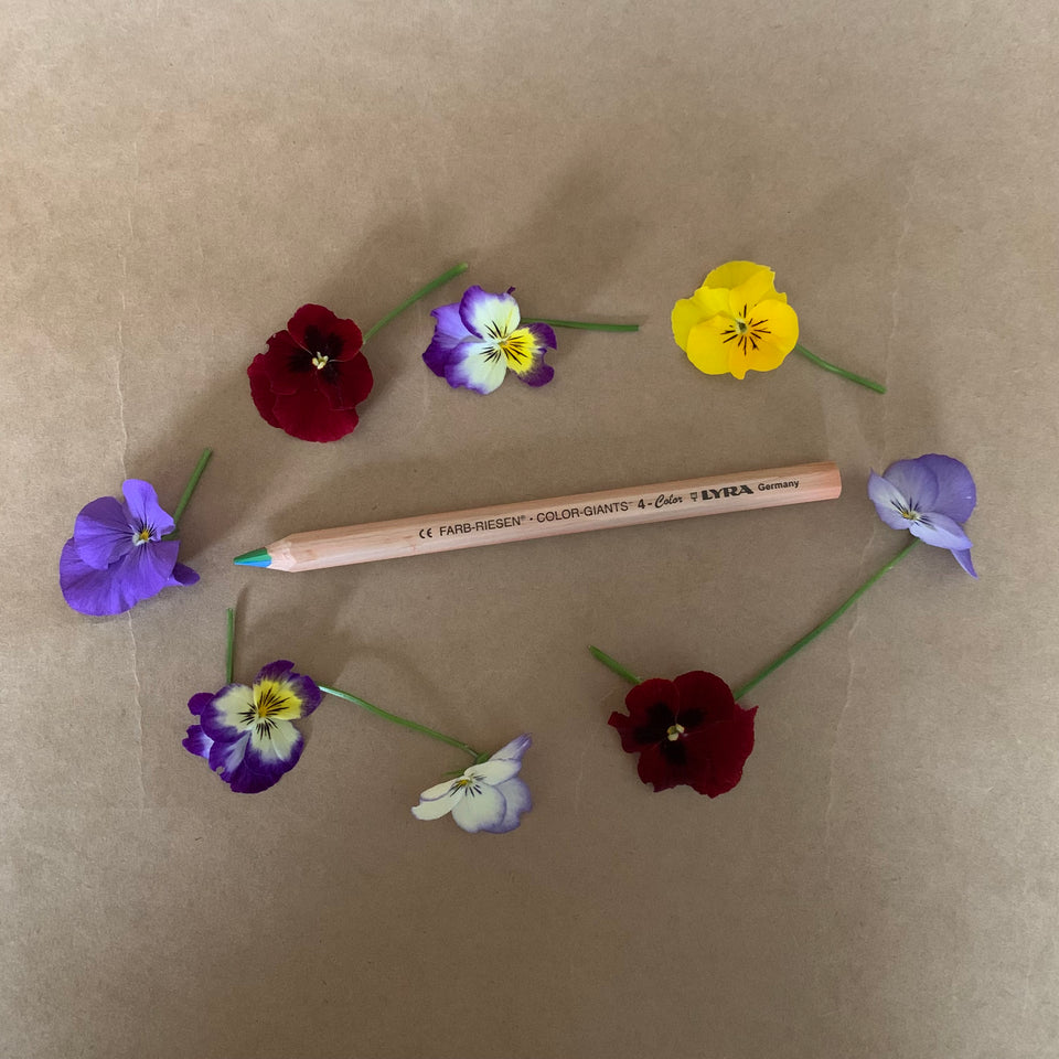 LYRA ~ RAINBOW 4 COLOUR PENCILS ~ SINGLES