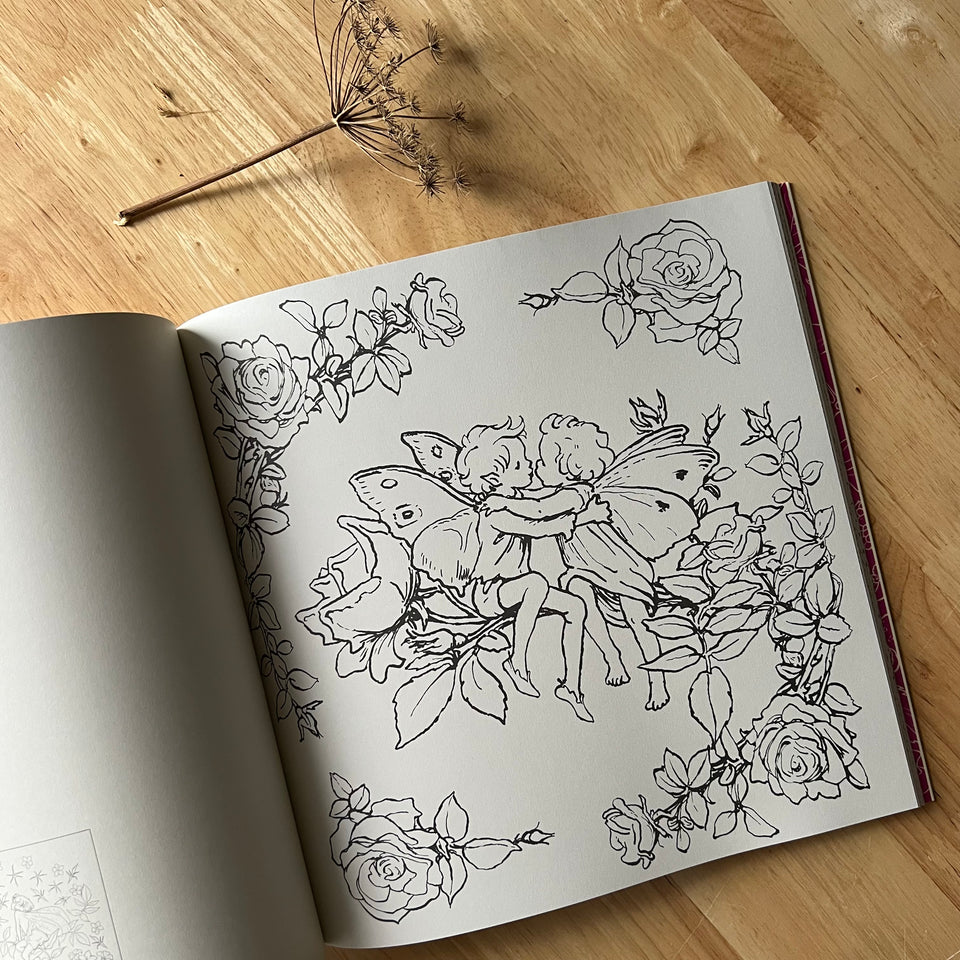 THE FLOWER FAIRIES COLOURING BOOK ~ CICELY MARY BARKER