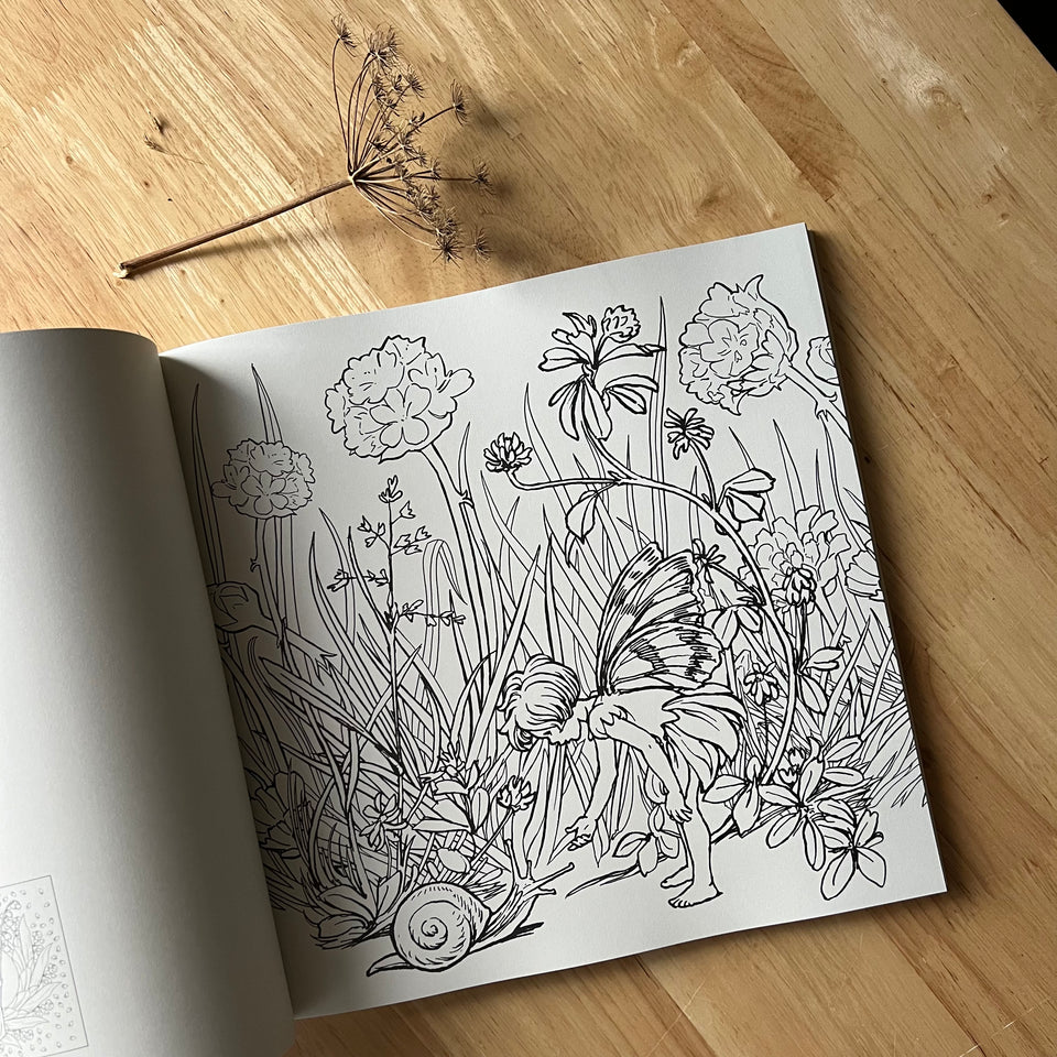THE FLOWER FAIRIES COLOURING BOOK ~ CICELY MARY BARKER