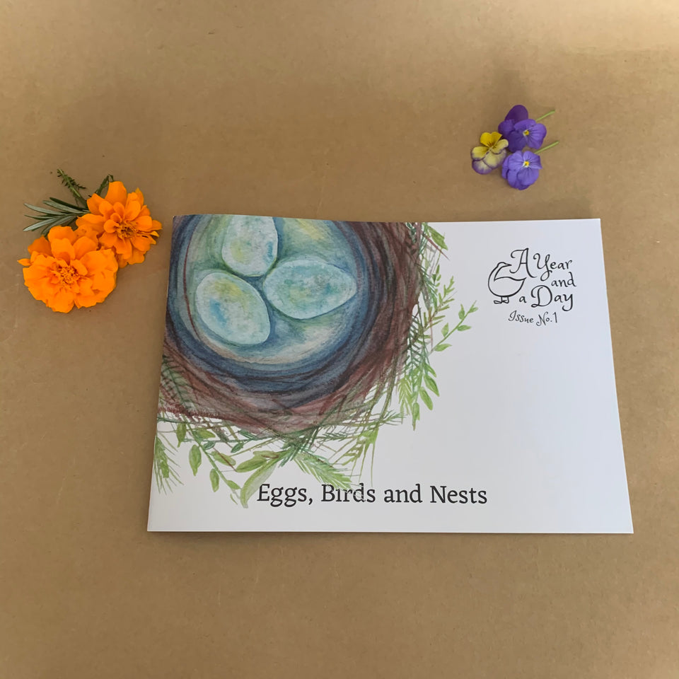A YEAR AND A DAY ~ ISSUE 1 ~  EGGS BIRDS AND NESTS