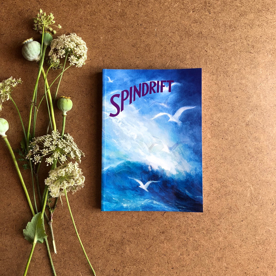 SPINDRIFT ~ A COLLECTION OF POEMS, SONGS & STORIES FOR YOUNG CHILDREN